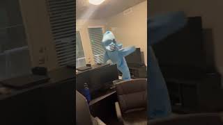 The FIRST EVER #DancingShark Video #DancingSharks #LeftShark #KatyPerry #CaliforniaGurls #SharkGuy