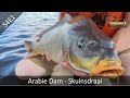 New fishing destination pays off  arabie dam s4e1