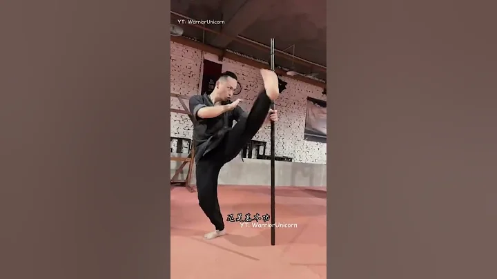 Master Tu Tengyao | Arts of Fighting | Wing Chun M...