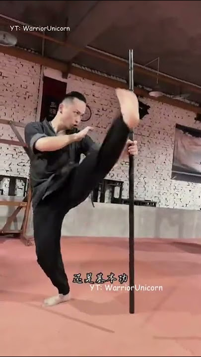 Master Tu Tengyao | Arts of Fighting | Wing Chun Master 2022 | Training