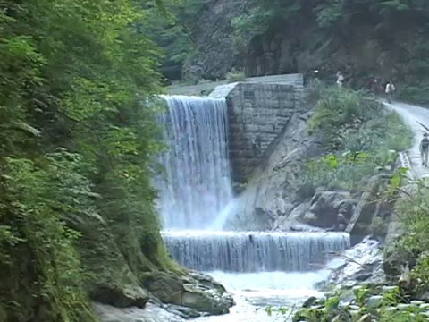 白神山地 奥入瀬渓流 十和田湖 Youtube 白神山地 奥入瀬渓流 十和田湖 Youtube