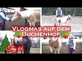 PONYVORSTELLUNG | Vlogmas #14