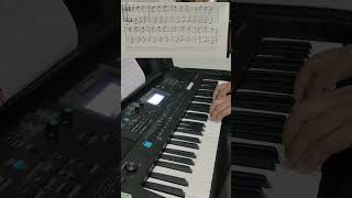 Practice - 5 🎹 My First Keyboard Practice Session | Beginner Learning Journey #Shorts
