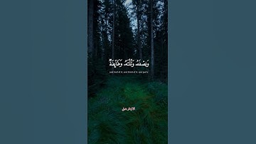 تلاوة هادئة سورة المزمل بصوت عبدالرحمن مسعد ❤️ حالات واتساب 🌿