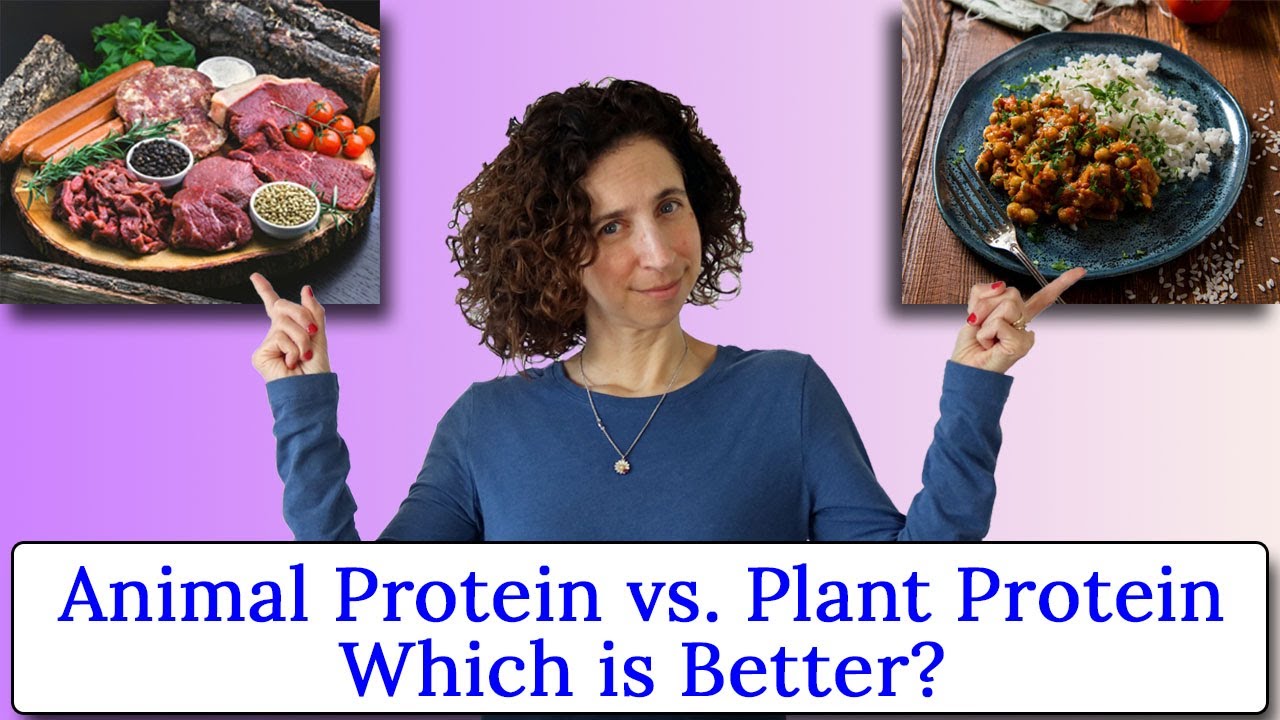 is-animal-or-plant-based-protein-in-food-better-how-much-protein-do