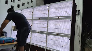 Muptek Bird Canary Kedatangan Box Breeding Canary 😍