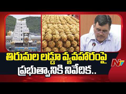 తిరుమల లడ్డూ వివాదం.. కమిషన్ రిపోర్ట్ లో షాకింగ్ విషయాలు..! | Tirumal Laddu Case | NTV Telugu - NTVTELUGU