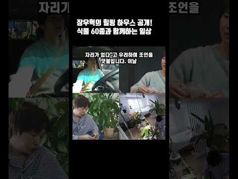장우혁의 힐링 하우스 공개! 식물 60종과 함께하는 일상 #장우혁 #H.O.T #신랑수업 #플랜테리어 #식물키우기 #힐링라이프 #연예인집 #홈스타일링 #반전취미 #힐링숲