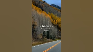 سورة مريم الآية(83/84/85/86) #ألم_تر_أنَّا_أرسلنا_الشَّياطين #القارئ_عبدالرحمن_مسعد