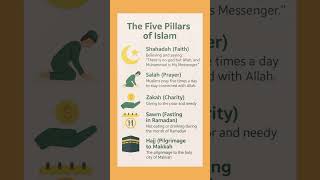 what are the five pillars of Islam?🤔 #shortsfeed l