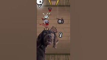 Wah da hell #bindingofisaac #gaming #isaac #deadgod #shorts