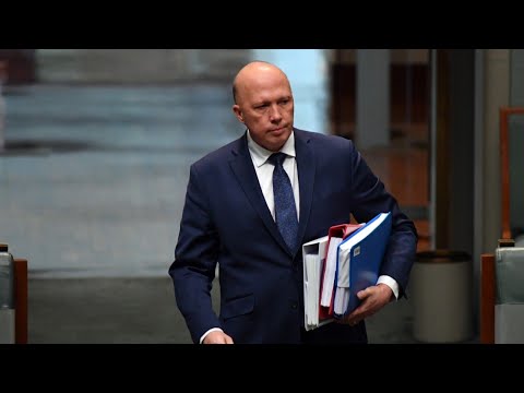 Dutton not a 'retail politician' but is 'very A+ for internal Liberal leadership'