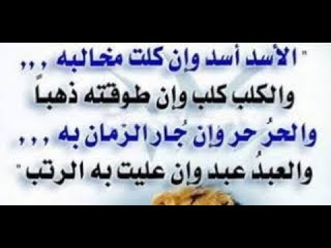 الاسد اسد وان كلت مخالبه