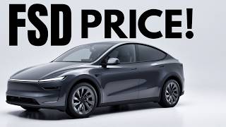 Is Tesla FSD Pricing A Mistake?