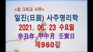 [일진사주명리학/출산택일]_제960강_2021년 06월 23일(신축년 갑오월 임인일)_임수 오월생 임인일주