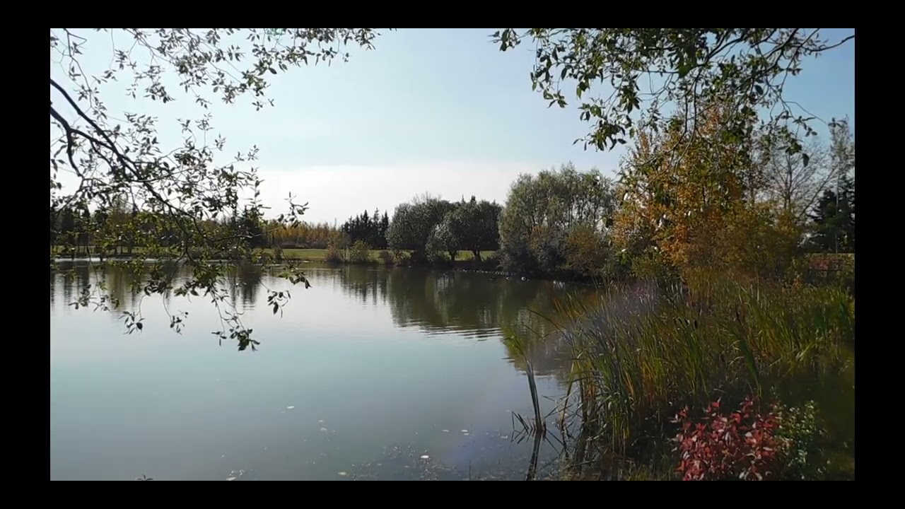 Guarda River of Serenity su YouTube Guarda River of Serenity su YouTube