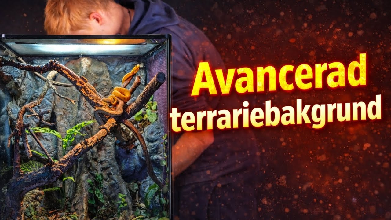 Bygg din egna terrariebakgrund 