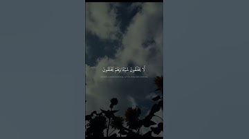 وَٱتَّخَذُواْ مِن دُونِهِۦٓ ءَالِهَةٗ لَّا يَخۡلُقُونَ شَيۡـٔٗا | محمد صديق المنشاوي | سورة الفرقان