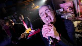 Download Lagu Shaggy Dogs - Blues Steady MP3