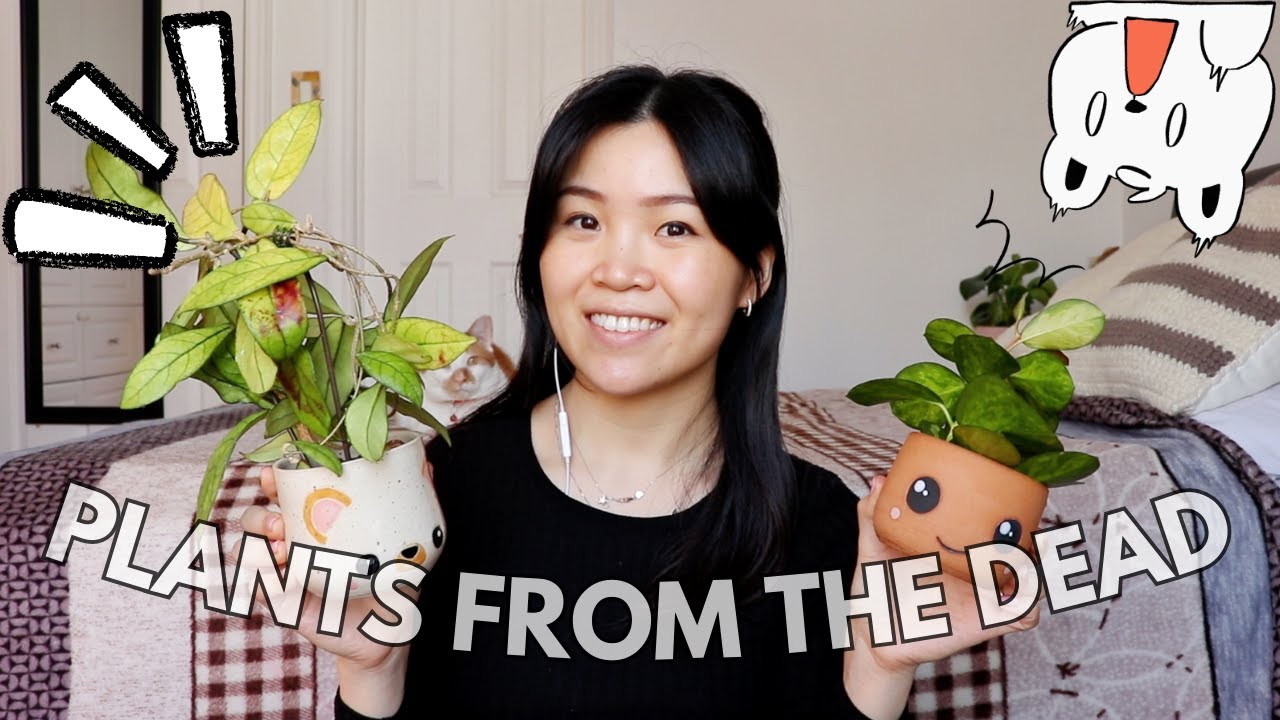 Plants that ALMOST Died but Survived...