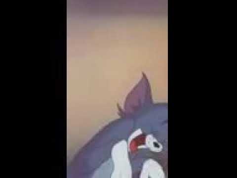 هههههه ضحكت توم الشهيرة