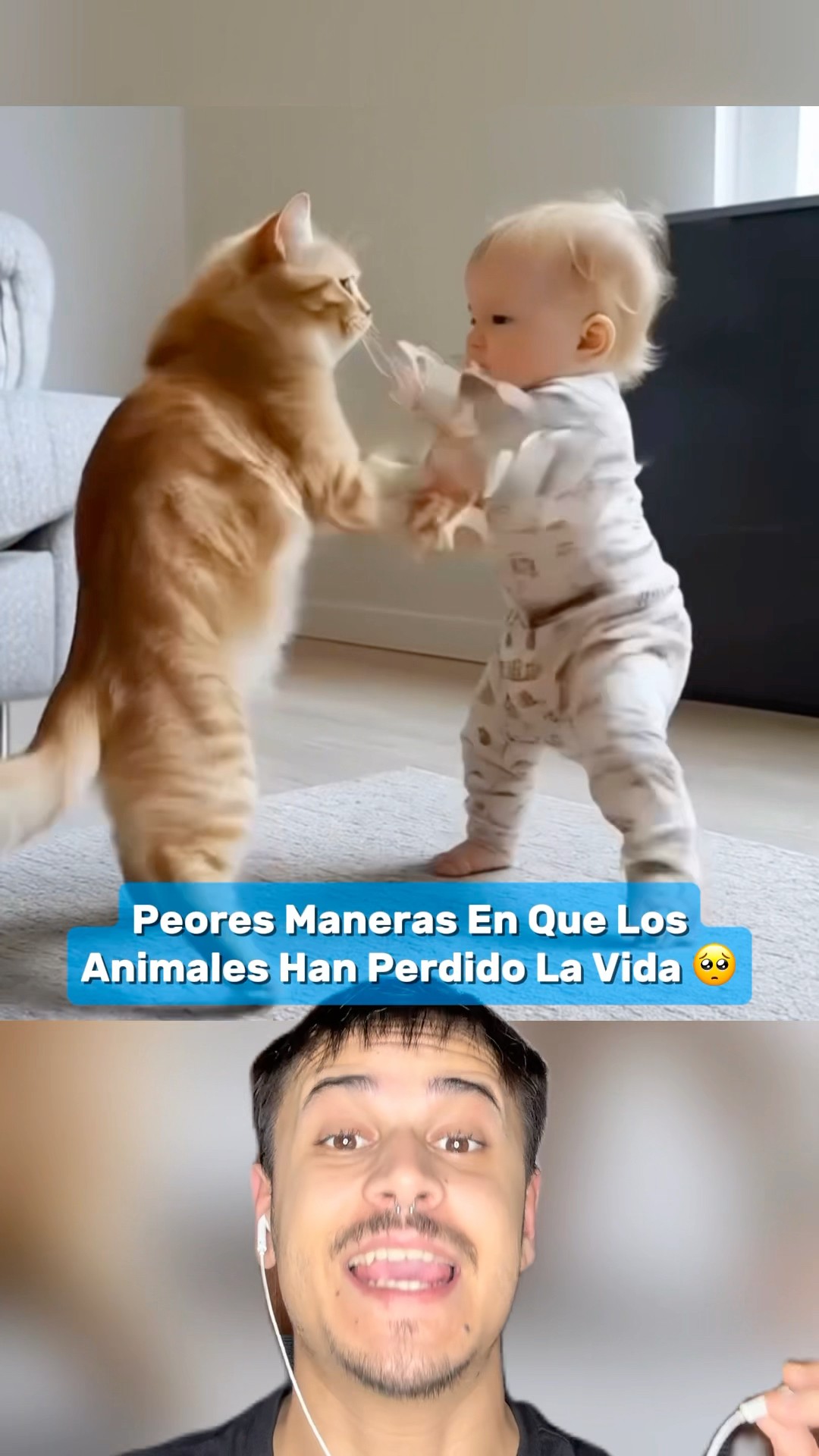 Peores Maneras En Que Los Animales Han Perdido La Vida Parte 15 #shorts