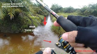 Reel menjerit ||Ryobi ultra power|| mancing ikan gabus dengan teknik casting