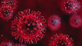 UW Medicine lab can now test for coronavirus COVID-19