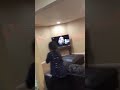 امريكيه دفعت بنته من فوق السرير امريكيه دفعت بنته من فوق السرير