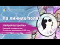 На линиях поля! НейроНастройки / Марина Семёнова