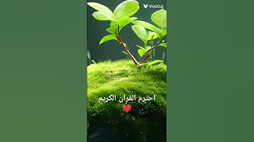 #ماشاءالله  على القرآن الكريم ❤️