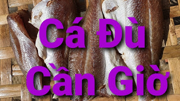Khô cá Đù 1 nắng Cần Giờ giá bao nhiêu ? Khô cá Đù làm món gì ngon.