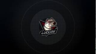 Luccini Gaming Intro Test 2