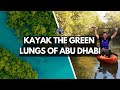 Pourquoi devriezvous faire du kayak dans les mangroves dabu dhabi  emirats arabes unis