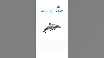 English quiz challenge part 940 #quiz