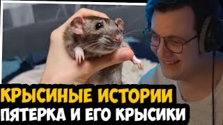 Пятерка Крысиные Истории! Истории Со Всеми Крысами От Пятерки И Сонечки!