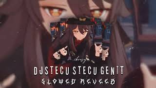 Download Lagu DJ STECU STECU GENIT VIRAL TIK TOK Slowed Reverb MP3 Download Lagu DJ STECU STECU GENIT VIRAL TIK TOK Slowed Reverb MP3