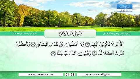 سورة الفجر _ بصوت القارئ أحمد سعود(360P))