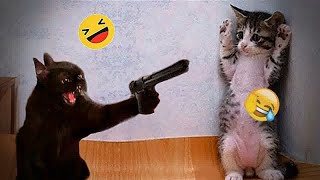 🤣😂 Funniest Dogs and Cats 🐕😅 Funniest Animals 2024 #17