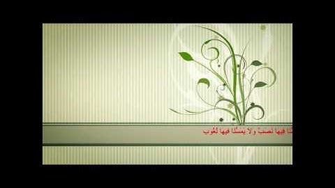 القارئ معاذ أيوب آيات من سورة فاطر