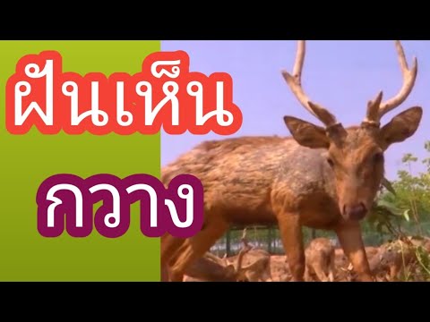 ผลสลากกินแบ่งรัฐบาล วันที่ 1 พย. 2567 ผลสลากกินแบ่งรัฐบาล วันที่ 1 พย. 2567