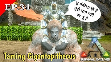 Taming Gigantopithecus and testing it