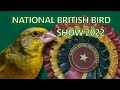 National british bird show 2022