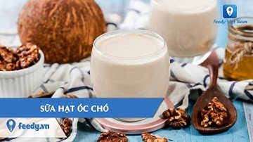 Hướng dẫn cách làm món SỮA HẠT ÓC CHÓ | Feedy TV
