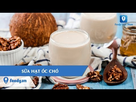 Hướng dẫn cách làm món SỮA HẠT ÓC CHÓ | Feedy TV