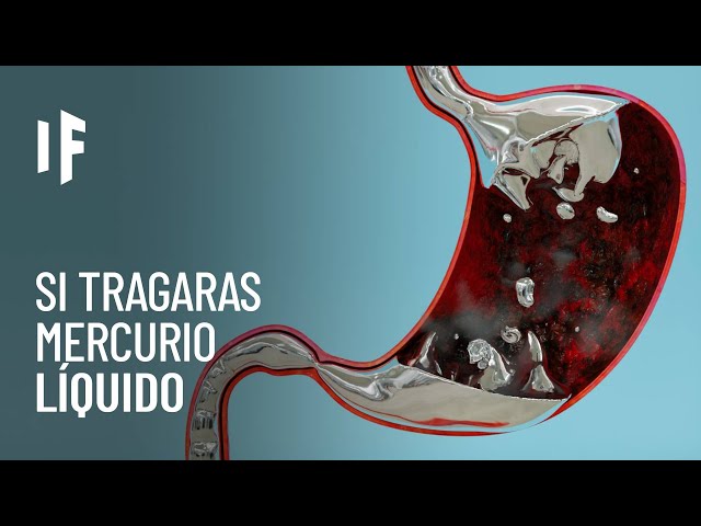 Qué pasaría si tragaras mercurio líquido? 