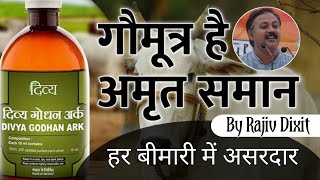 गौमूत्र के फायदे | Health benefits of Cow urine in Hindi | Rajiv Dixit