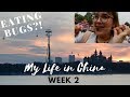 Study Abroad in China - Week 2