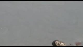 Жуткое видео.