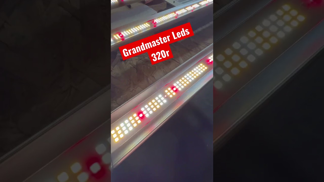 The 320R from Grandmaster Leds